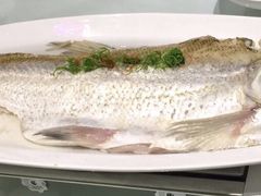 清蒸太湖大白条-淮扬厨子(健康路店)