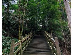 -凤栖山