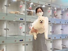 -萌宠之家·腊肠犬·马尔泰·小体犬舍