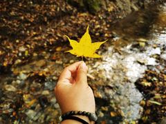 -玉渡山自然风景区