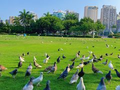 -白鹭洲公园
