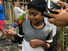 -新加坡飞禽公园