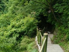 -少华山国家森林公园