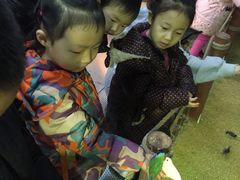 -萌宠奇缘