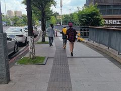 -老凯俚酸汤鱼(多彩城店)