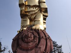 -大金鹰园