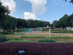 -天河儿童公园