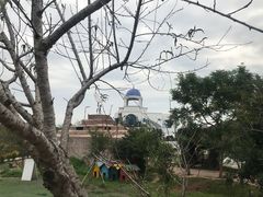-丹樱生态园