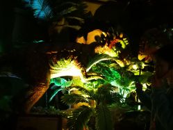 -恐龙探索乐园(磁器口店)