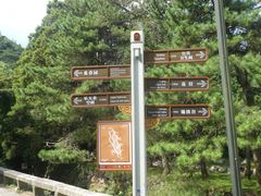 -庐山风景区花径公园