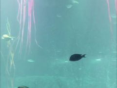 -沈阳海洋探索中心