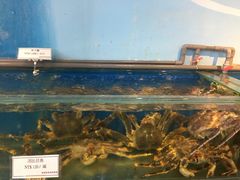 -海九澎湖海鲜餐厅