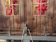 -破瓦寒窑·地摊烤羊排