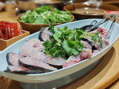 -老凯俚酸汤鱼(多彩城店)