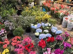 -双季花艺园艺市场(浦东店)