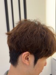 -YESIDO椰岛造型