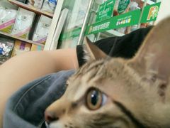 -瑞鹏宠物医院·骨科·猫科·内科(第一中心)