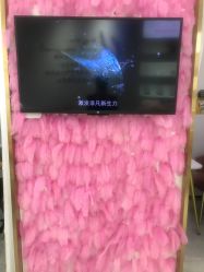 -KS科逆美肤祛痘