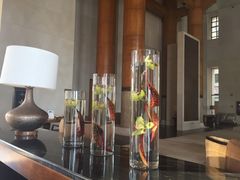 -逸廊大堂吧(三亚海棠湾万丽度假酒店)