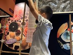-香港科学馆