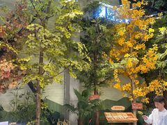 -黄海国家森林公园