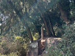 -金堂县云顶石城风景区