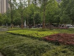 -龙头寺公园