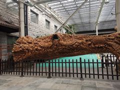 -龙达温泉生态城