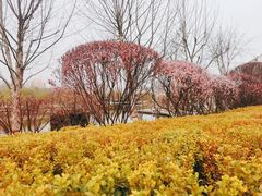 -雁滩公园