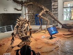 -自贡恐龙博物馆