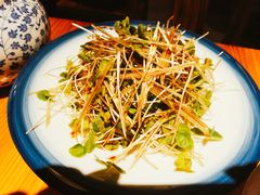 燕青荞麦菜-兴农记
