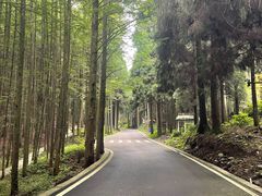 -山王坪喀斯特国家生态公园