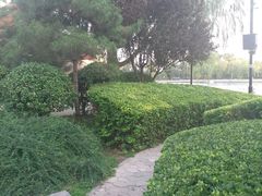 -后海公园