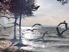 -捞渔河湿地公园