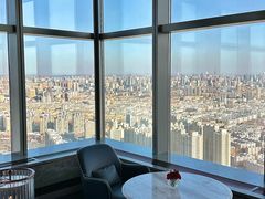 -大堂酒廊·富力丽思卡尔顿酒店