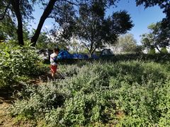 -永定河休闲森林公园