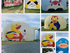 -漳州滨海火山岛自然生态风景区