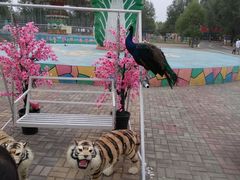 -兰陵国家农业公园