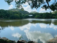 -白马涧龙池景区