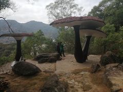 -青芝山风景名胜区