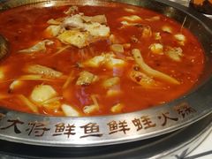 -蛙一刀·麻椒鱼火锅(金仙桥店)