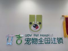 -艾吉宠物医院·疑难杂症转诊中心·猫友好(碧江路院)