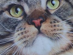 -方浜中路45弄小区