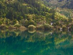 -九寨沟-树正沟