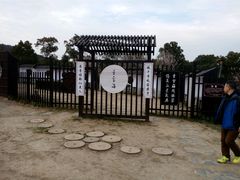 -香雪海