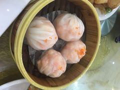 渔鸽皇-渔鸽皇(鸿大广场店)