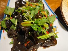 泡椒木耳-不相离盐帮菜(郎园店)