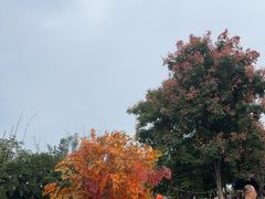 -HERRE·FARM 赫尔露营农场·团建聚会包场