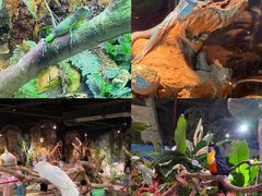 -正佳雨林生态植物园