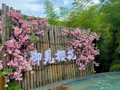 -天目湖御水温泉·度假酒店